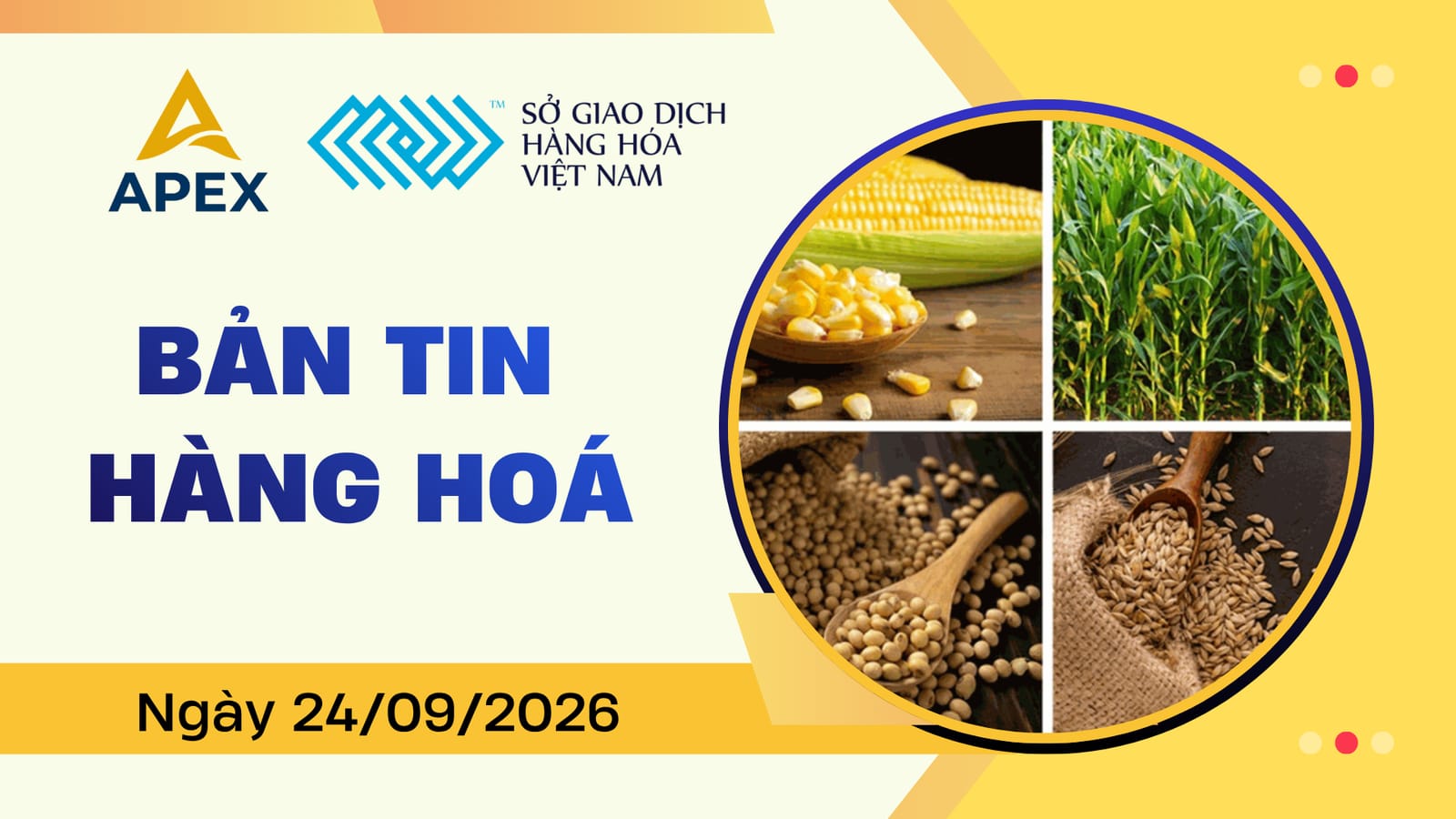 THỊ TRƯỜNG HÀNG HÓA 24/09: NÔNG SẢN VÀ CÀ PHÊ CHỊU ÁP LỰC CHỐT LỜI, KIM LOẠI ĐIỀU CHỈNH TRƯỚC VÙNG KHÁNG CỰ