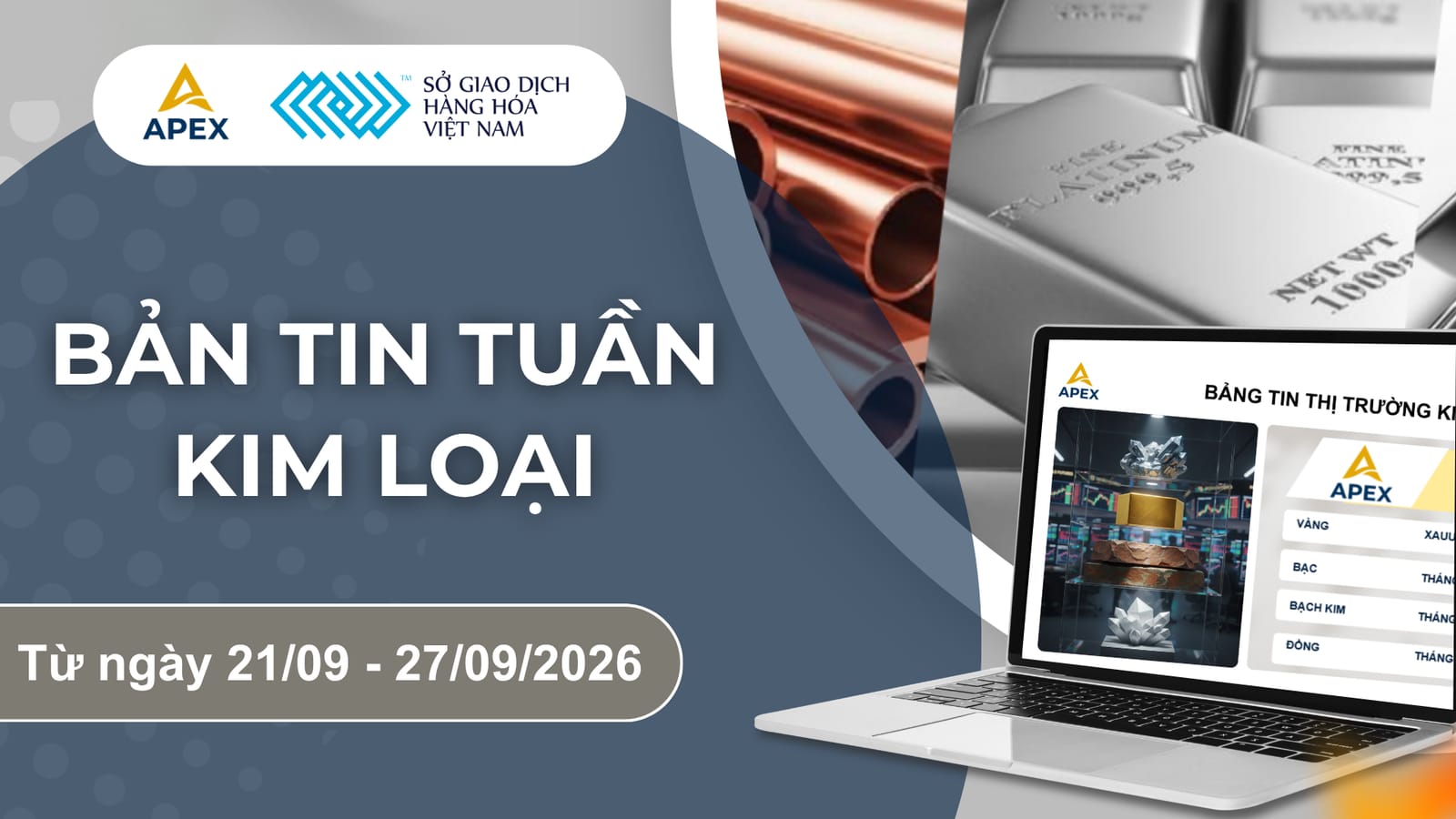 BẢN TIN KIM LOẠI TUẦN TUẦN 4 - THÁNG 9