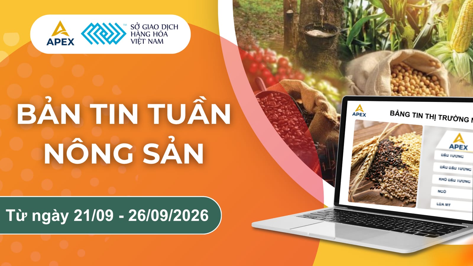 BẢN TIN NÔNG SẢN TUẦN TUẦN 4 - THÁNG 9