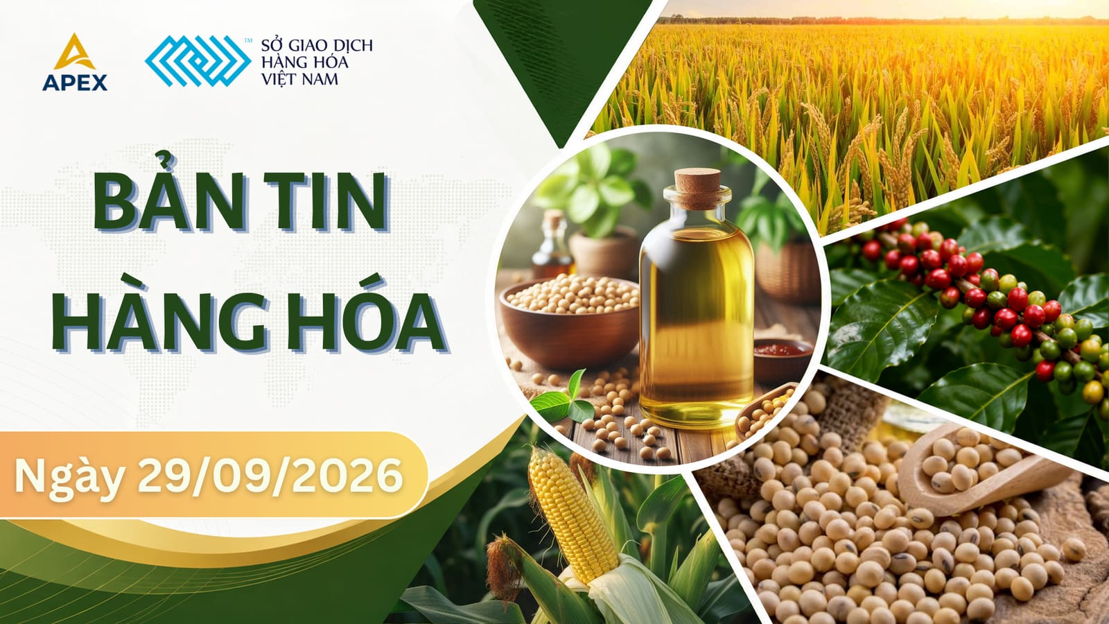 THỊ TRƯỜNG HÀNG HÓA 29/09: NÔNG SẢN VÀ NGUYÊN LIỆU CÔNG NGHIỆP PHỤC HOI, KIM LOẠI TÍCH LŨY TRƯỚC BÁO CÁO MỚI