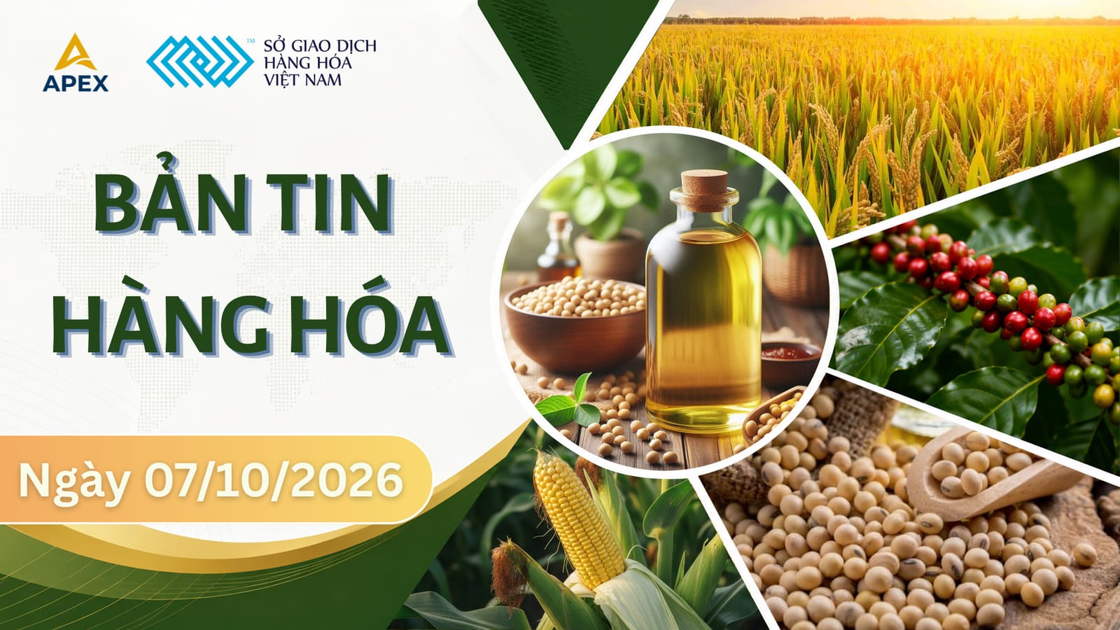THỊ TRƯỜNG HÀNG HÓA 07/10: NÔNG SẢN VÀ KIM LOẠI GIẰNG CO TÍCH LŨY, NGUYÊN LIỆU CÔNG NGHIỆP PHỤC HỒI NHỜ YẾU TỐ CUNG CẦU